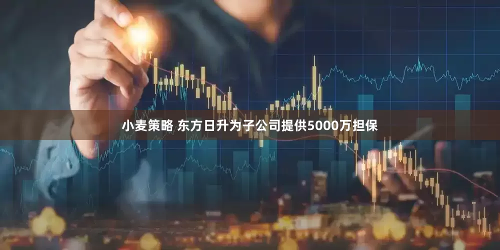 小麦策略 东方日升为子公司提供5000万担保