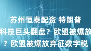 苏州恒泰配资 特朗普关税助美科技巨头翻盘？欧盟被爆放弃征数字税