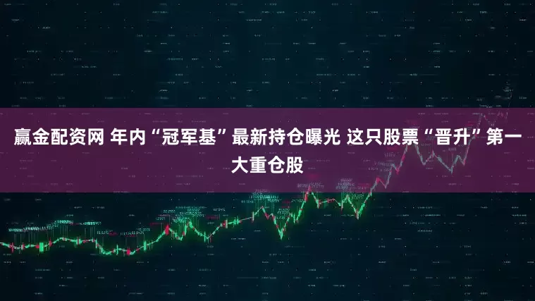 赢金配资网 年内“冠军基”最新持仓曝光 这只股票“晋升”第一大重仓股