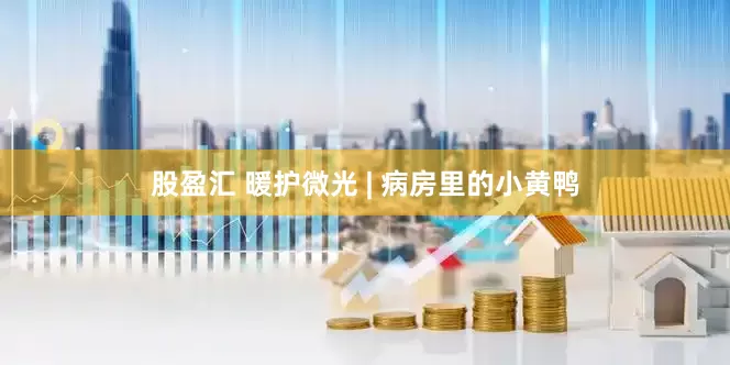 股盈汇 暖护微光 | 病房里的小黄鸭