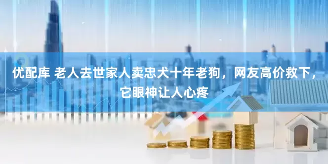 优配库 老人去世家人卖忠犬十年老狗，网友高价救下，它眼神让人心疼