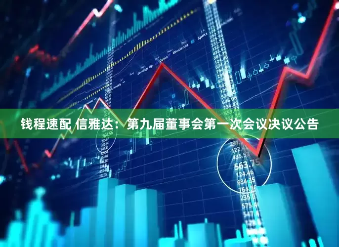 钱程速配 信雅达：第九届董事会第一次会议决议公告