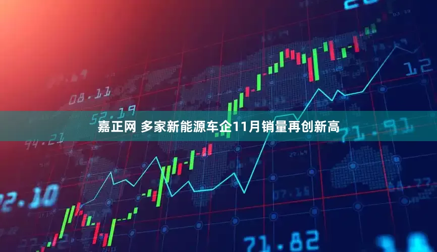 嘉正网 多家新能源车企11月销量再创新高
